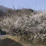 Thumbnail of post image 130